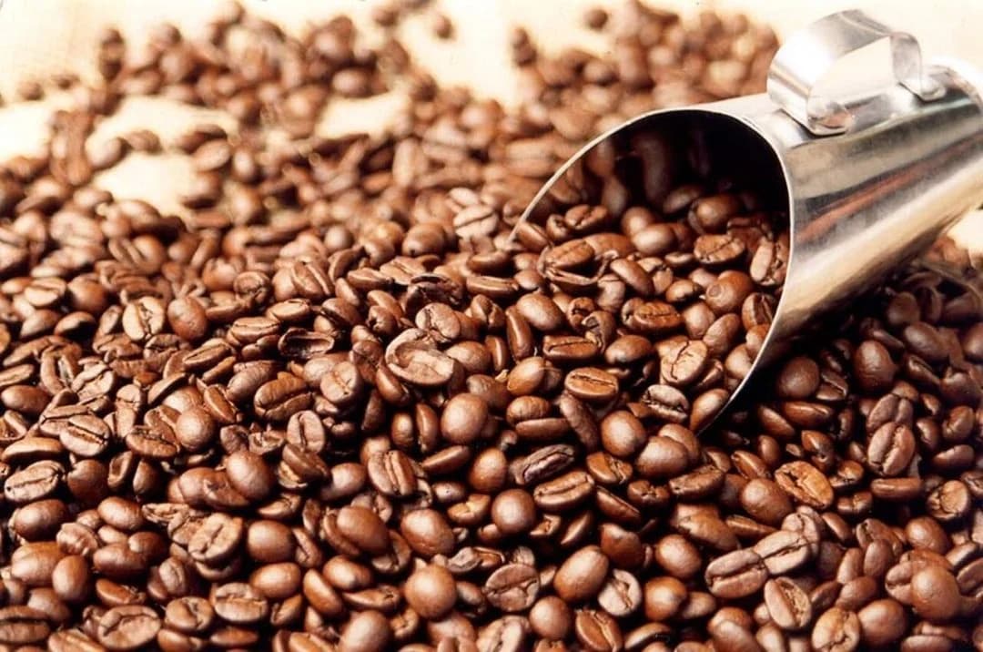 Plantações de Café do Uíge