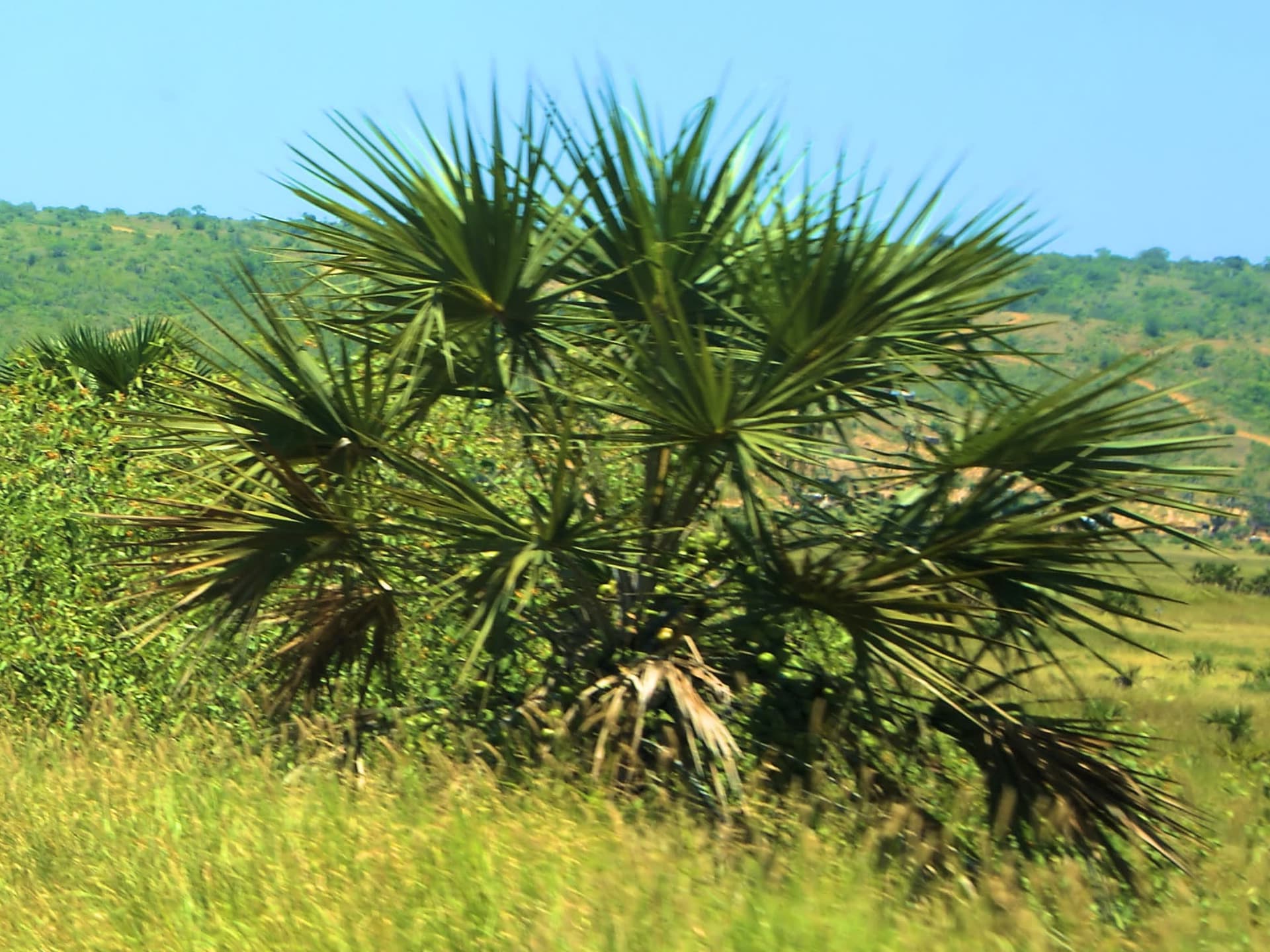Parque Nacional da Kissama