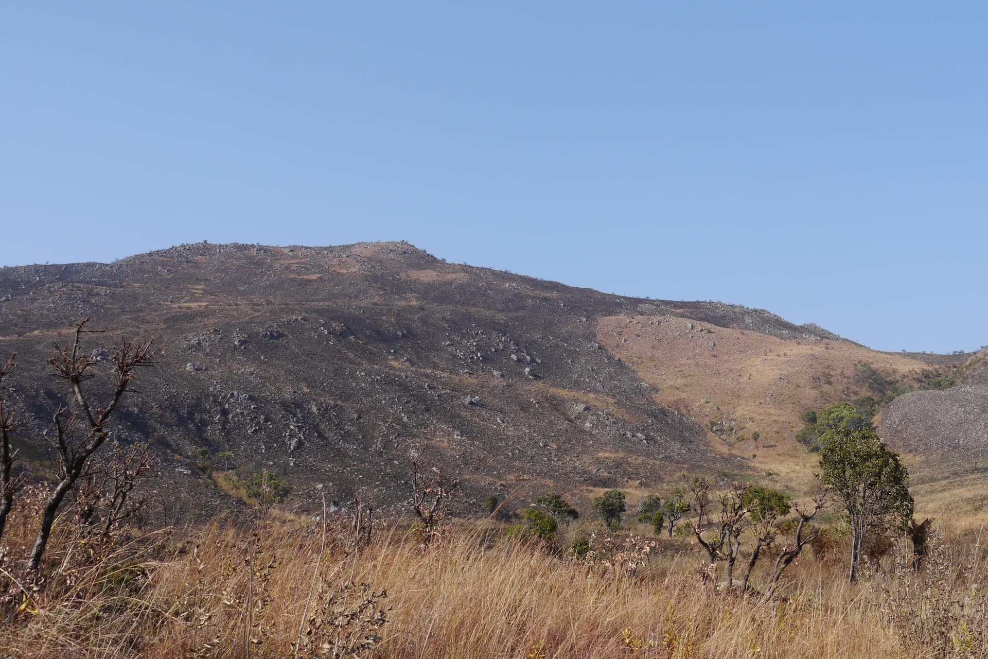 Monte Moco